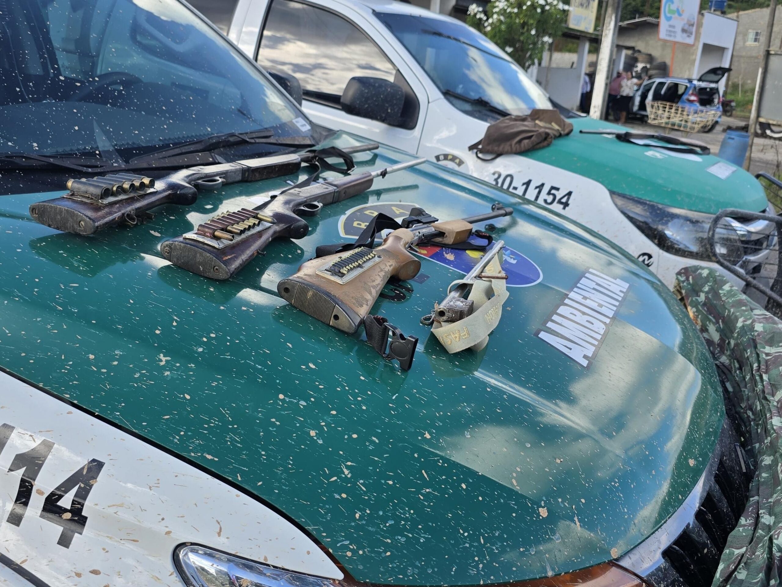 PM apreende espingardas e resgata pássaros silvestres em operação contra crimes ambientais em Flexeiras