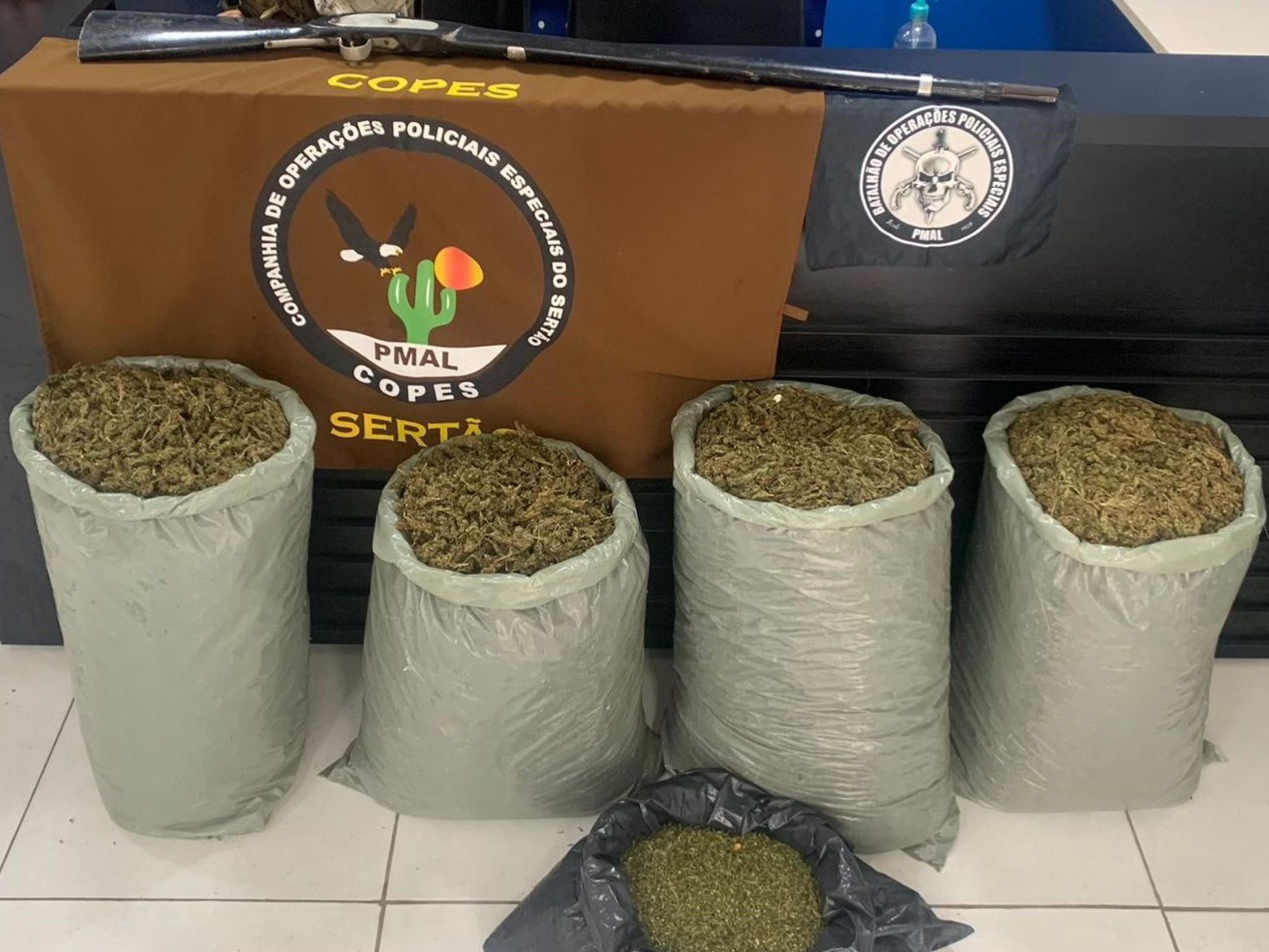 PM-AL retira mais de 62 quilos de drogas e 37 armas de fogo das ruas