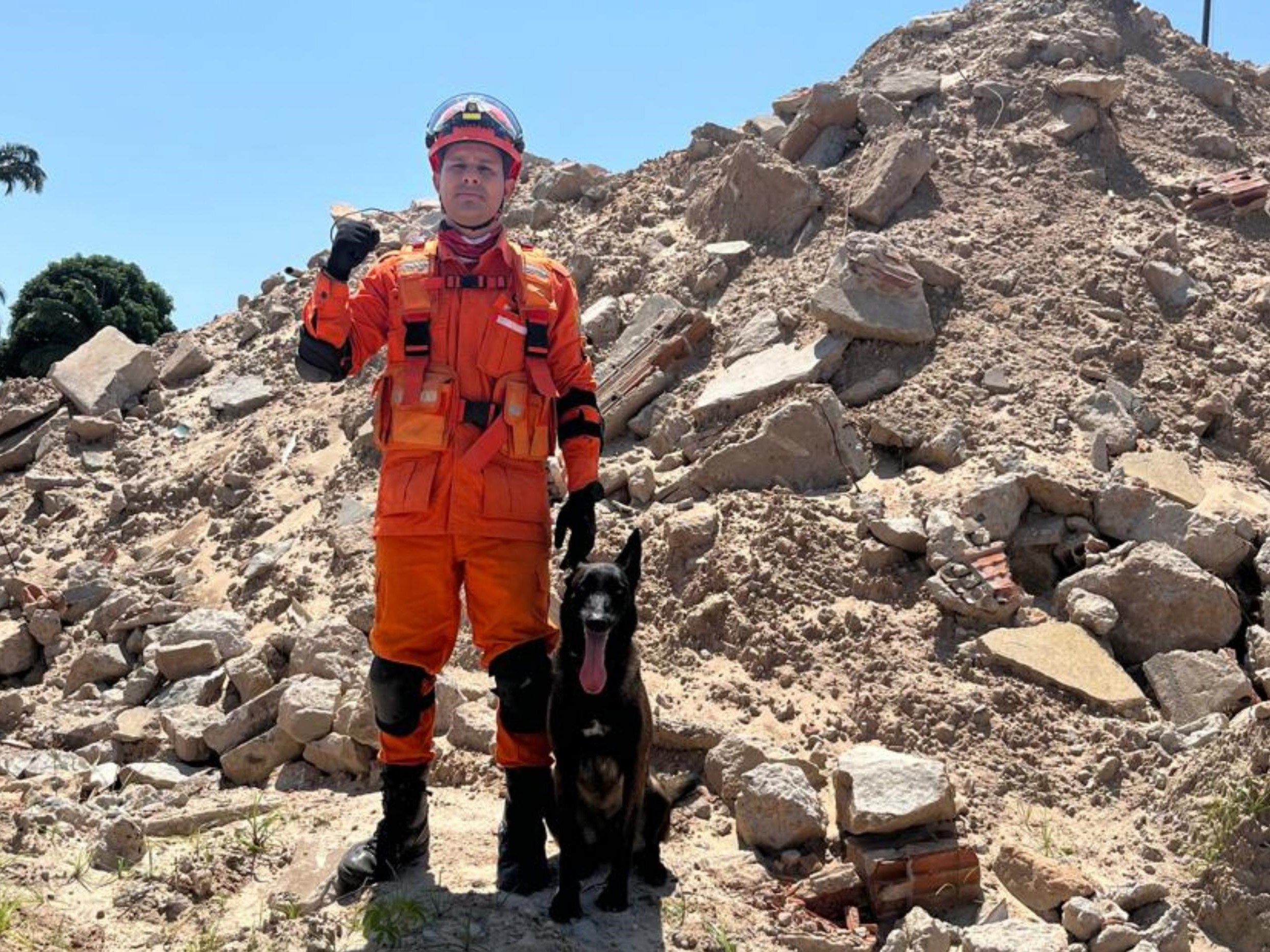 Cadela do Corpo de Bombeiros conquista duas certificações nacionais de busca