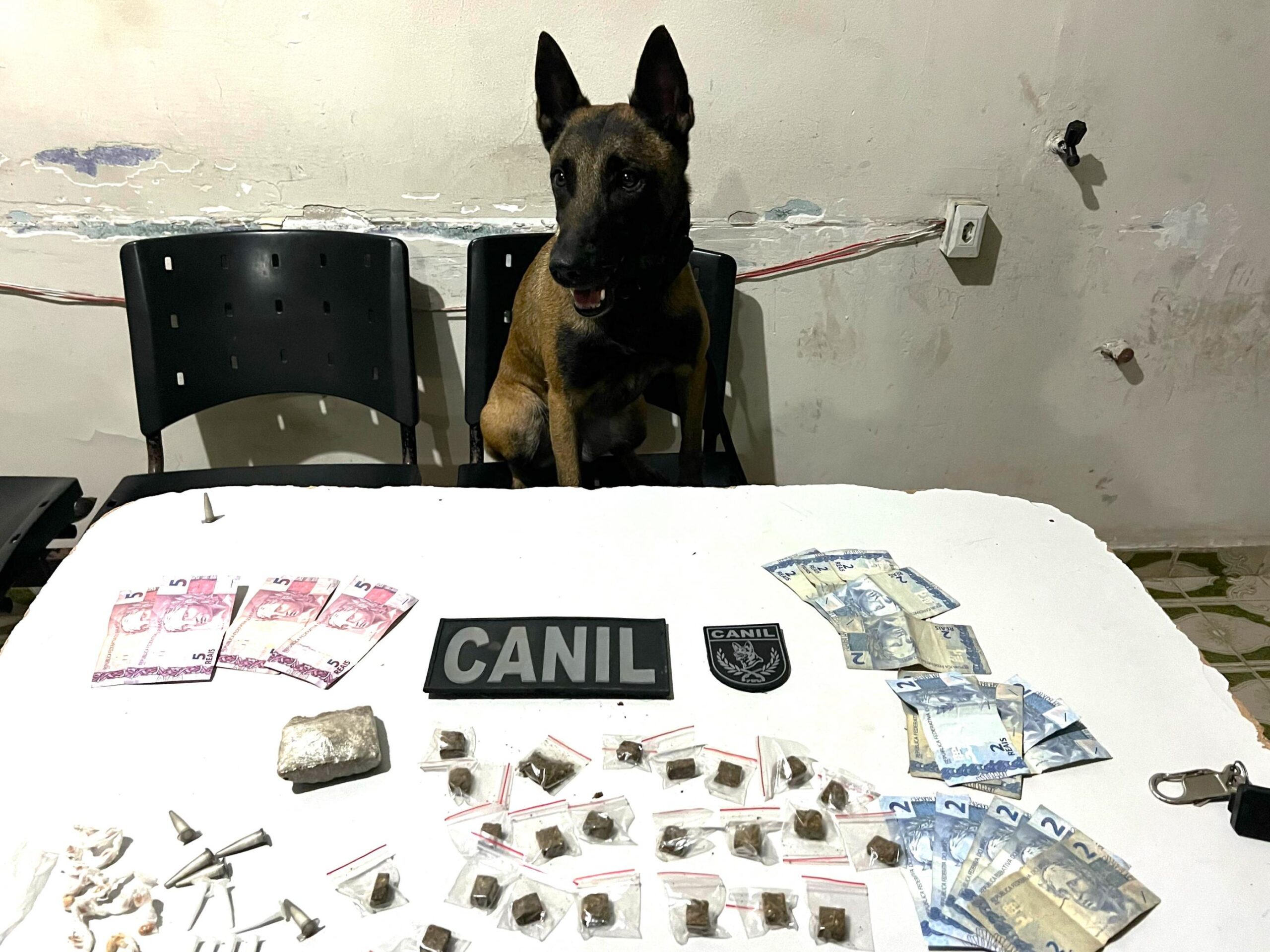 Polícia Militar apreende arma e entorpecentes durante abordagens em Arapiraca