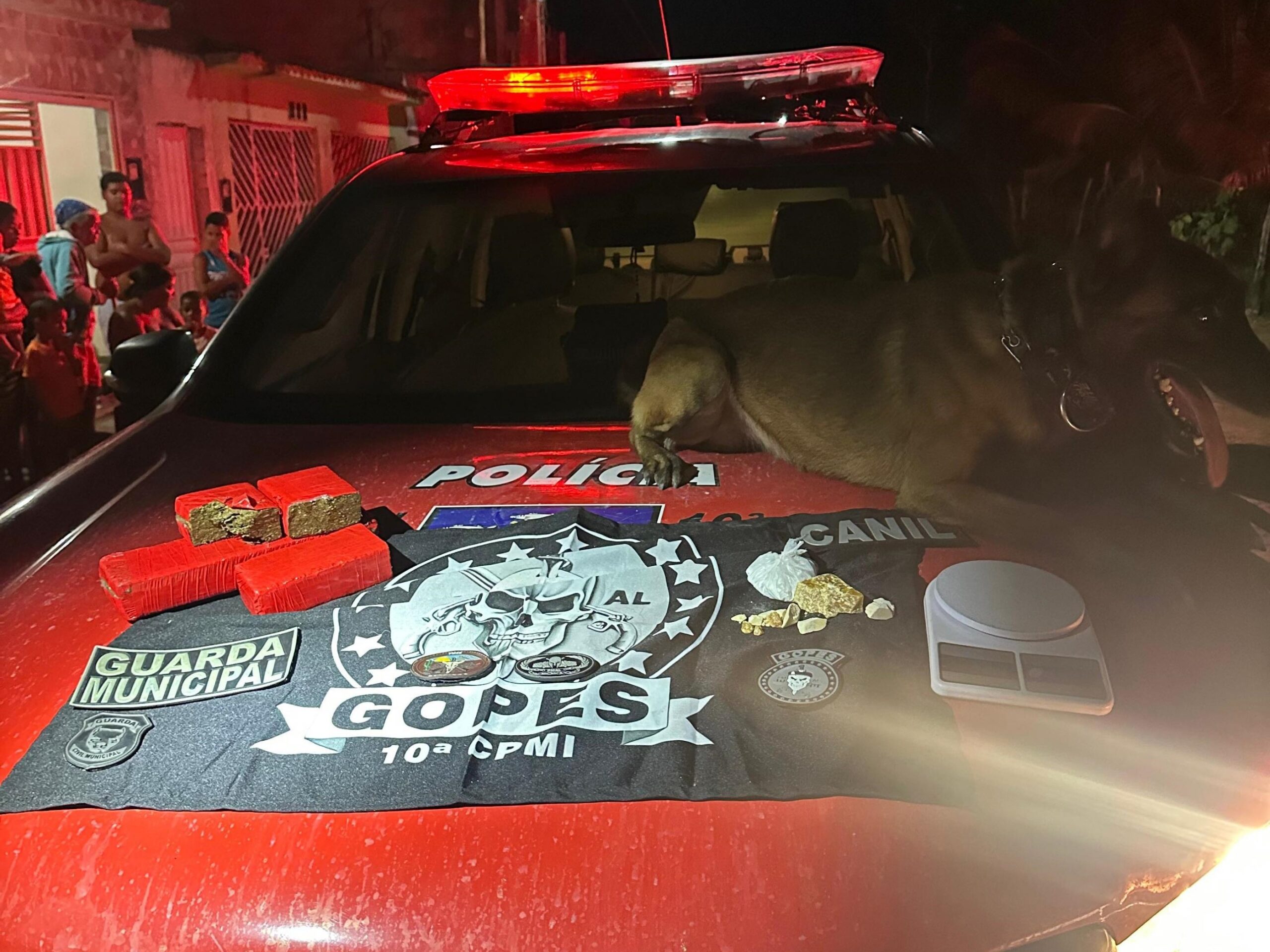 Polícia Militar prende chefe de facção criminosa em Campo Alegre