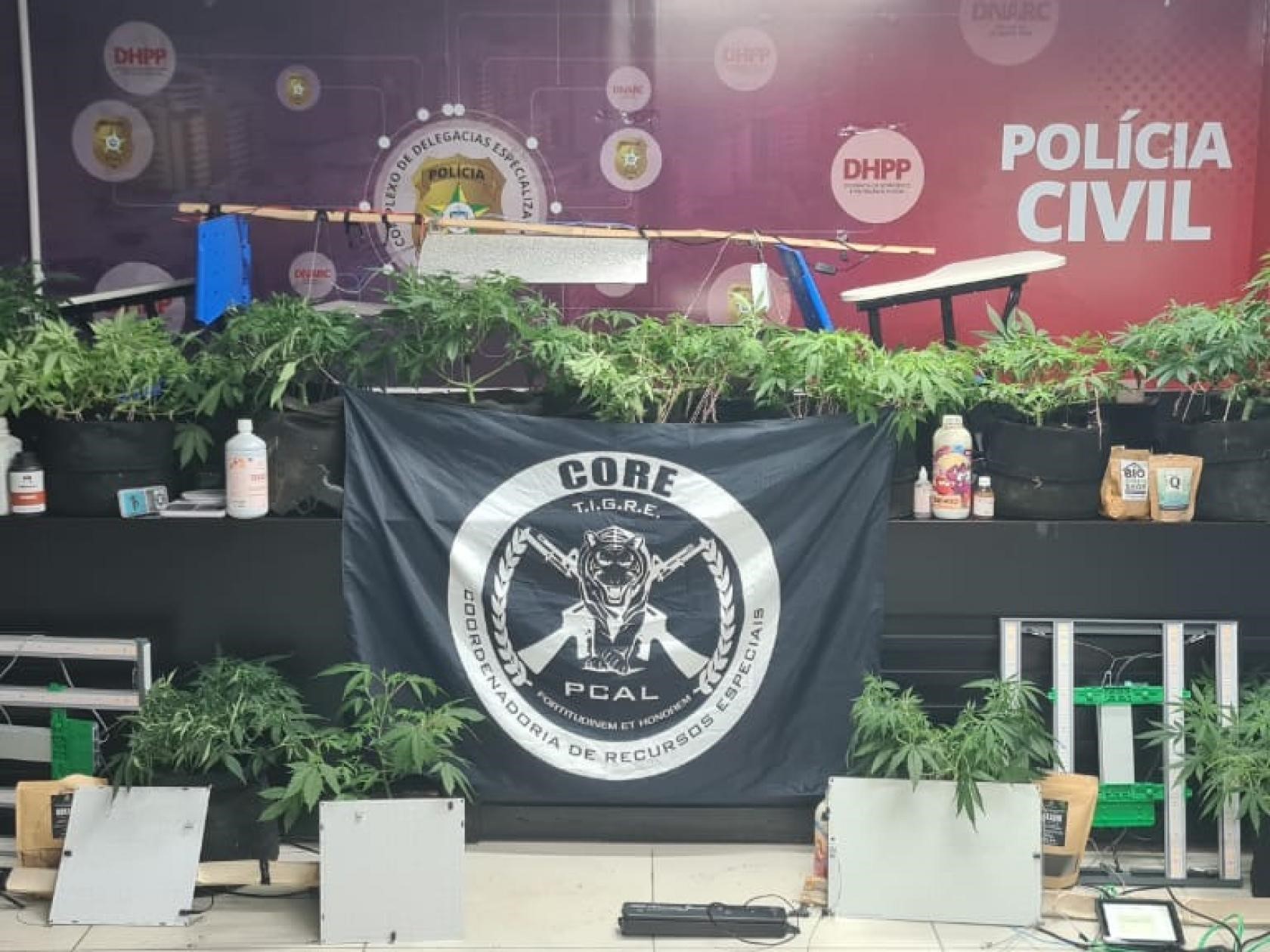 Polícia Civil estoura laboratório usado para cultivo e refinamento de maconha em Maceió