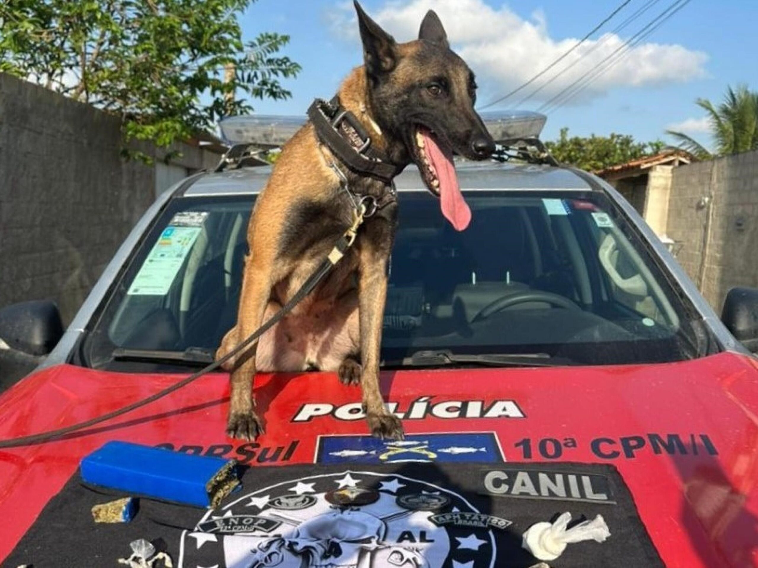 Polícia Militar cumpre mandado judicial e efetua prisões por tráfico de drogas no Litoral Sul